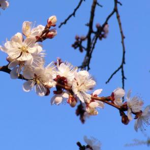 ����: �������� �����