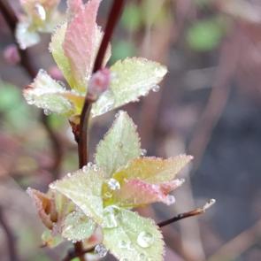 ���� ��������: ����� �����