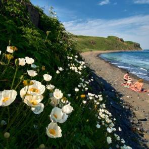 ���� ��������: ����� ����