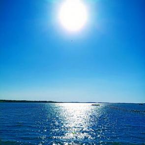 ���� ��������: ����.������ ����