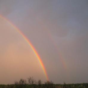 ���� ��������: �������� ������ 