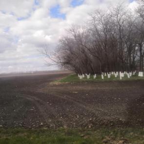 ���� ��������: ������� � ��������