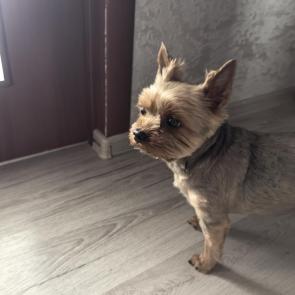 ����: 