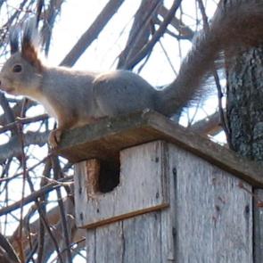 ����: ����� �� ������.