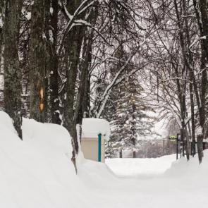 ���� ��������: 