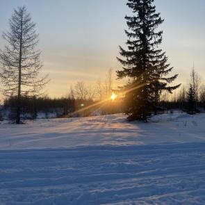 ����: ����