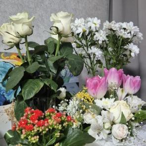 ����: 8 �����