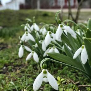 ���� ��������: ������� ������, ������� - �����