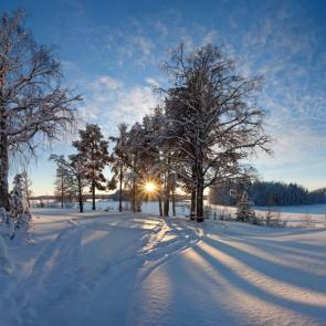 ���� ��������: ����� � ������