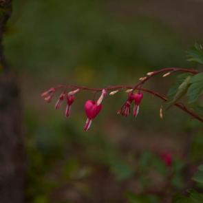 ���� ��������: �������� ������