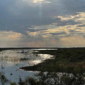 ���� ��������: ��������� ����� 