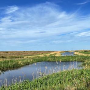 ���� ��������: ������������� ����� 