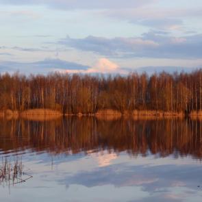 ���� ��������: ������� ��� ������