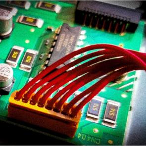 ����: ��������