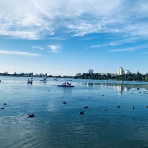 ����: �����