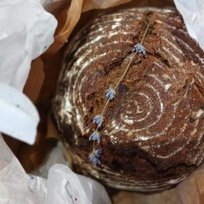 ���� ��������: ���� � �������