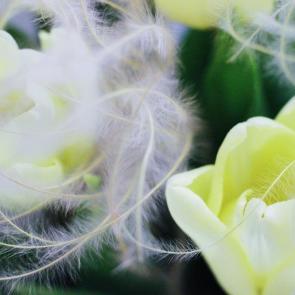 ���� ��������: 