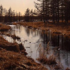 ����: �������� ����� �� ���� ����