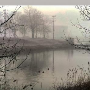 ����: ����� ����� 