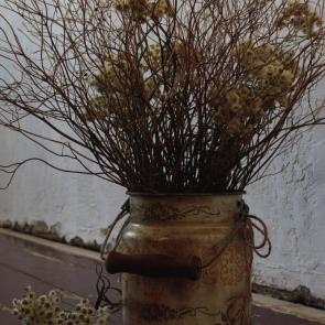 ���� ��������: � ����� ������ 