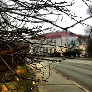 ����: ��� ����� 