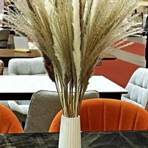 ���� ��������: 