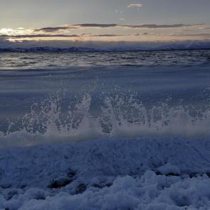 ���� ��������: ������ �� ����