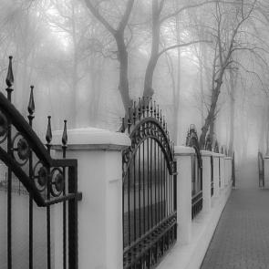 ����: ������� ����� 