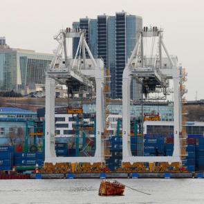 ����: ������� ����