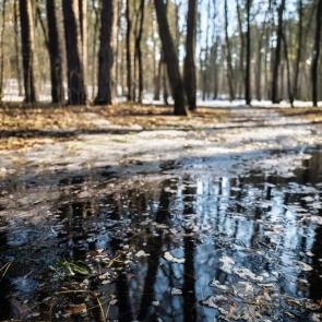 ����: �������� ����������...