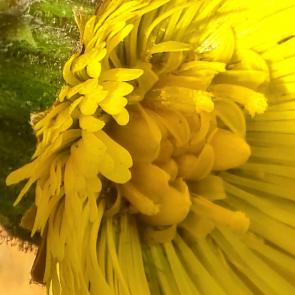 ���� ��������: ����-�-������