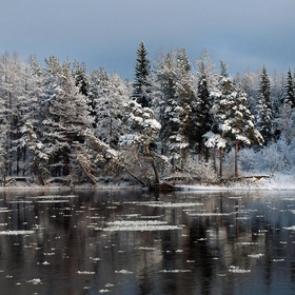 ���� ��������: 