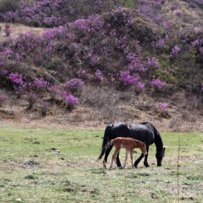 ����: ����� ����� ���������...