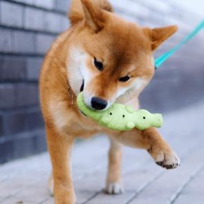 ����: 