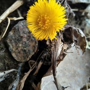 ����: ���� � ������