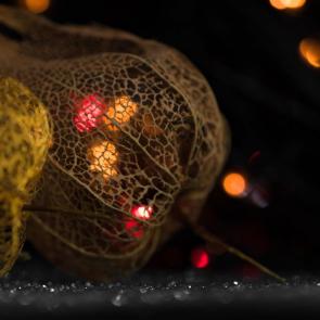 ���� ��������: ��������������� ������� 