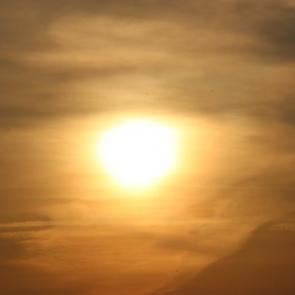 ���� ��������: ��� ���������