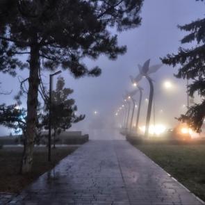 ���� ��������: 