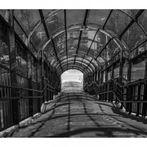 ����: ����