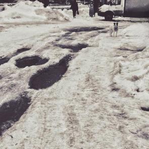 ����: ������ �����