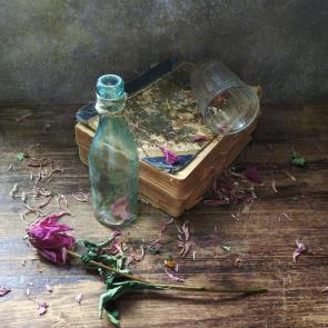 ���� ��������: ��������