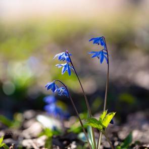 ����: �������� ������