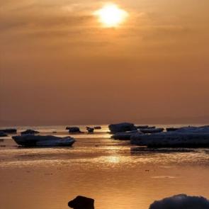 ����: ����� �� ������ �����