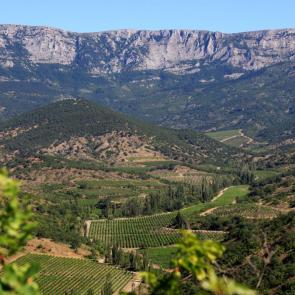 ���� ��������: ����