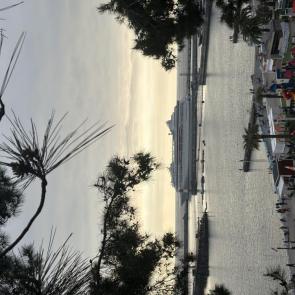 ���� ��������: ����