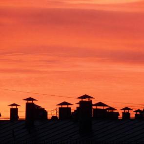 ���� ��������: �����