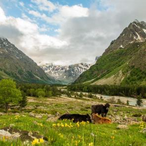 ���� ��������: � ������ ����-���