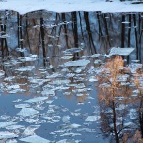 ���� ��������: 