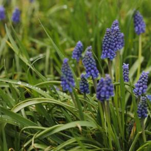 ����: ������ ������ ��������� ����