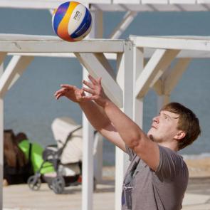 ����: ������